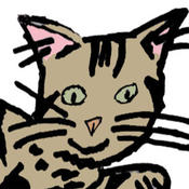 Social Cat